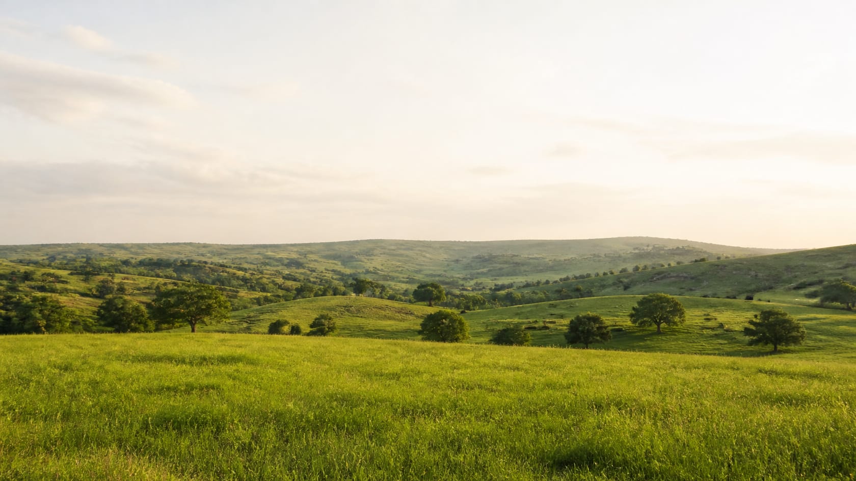 Open Texas Hill Country field with rolling green hills and oak trees